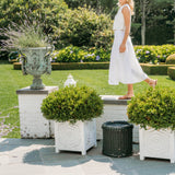 Circle Skirt Poplin - Blanc